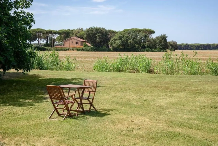 1 Bedroom Apartment with garden view