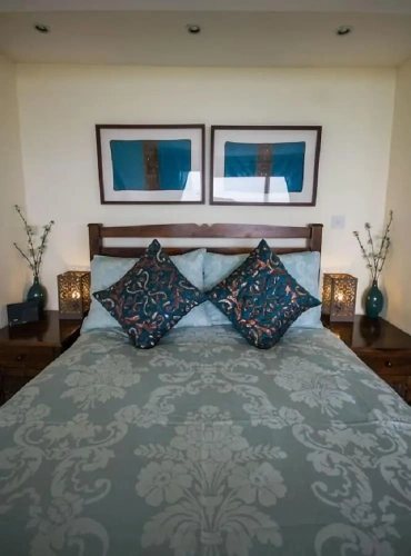 Deluxe Family room