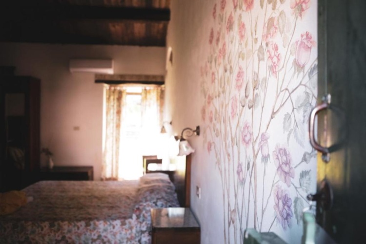 Standard Double room with view