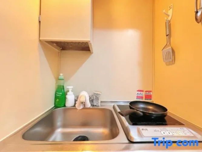 Home Story in Tokyo Kanamachi