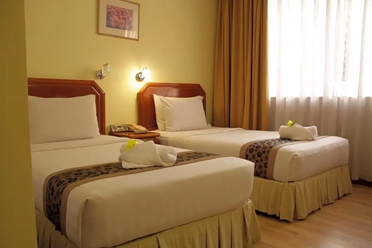 Superior Twin room with view