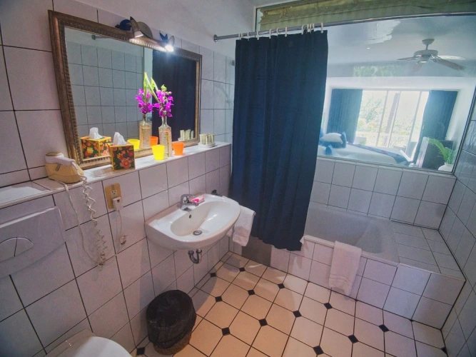 1 Bedroom Junior Suite with balcony and with ocean view