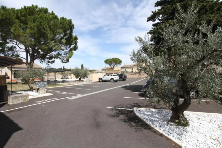 Hotel Van Gogh Over view