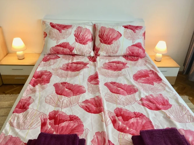 2 Bedrooms Classic Apartment with balcony