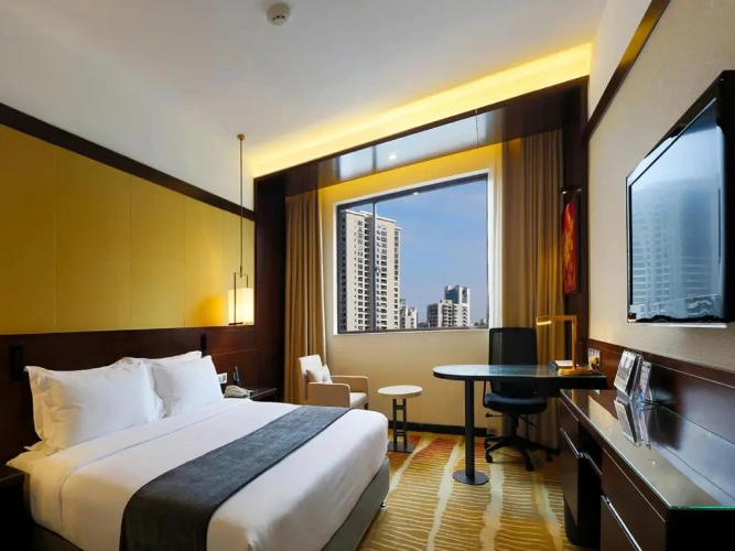 Superior Double room with city view