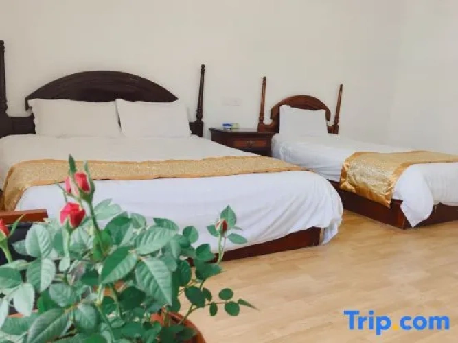 Triple Villa