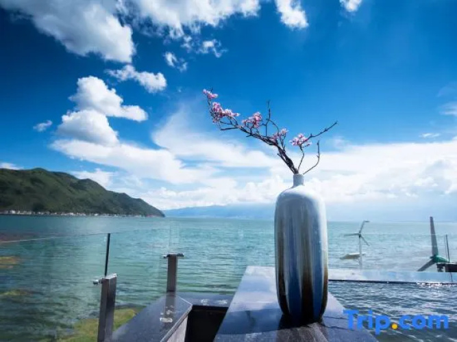 Sea Lily Sea View lnn