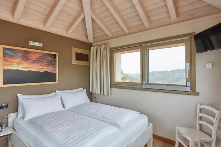 Duplex Suite