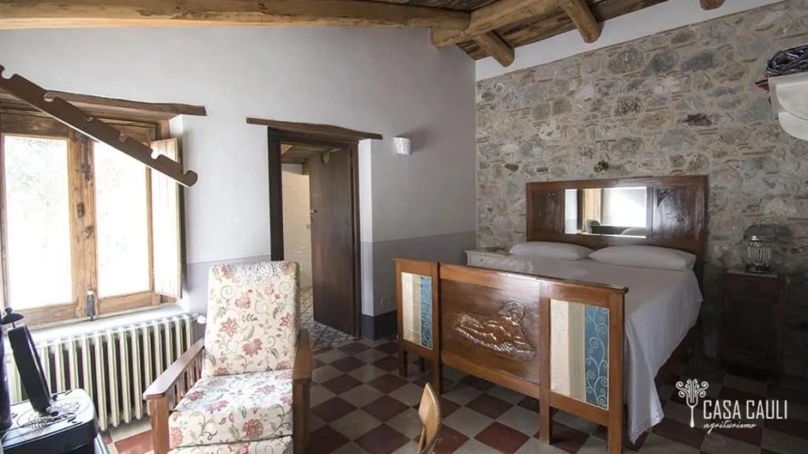Standard Double room with mountain view