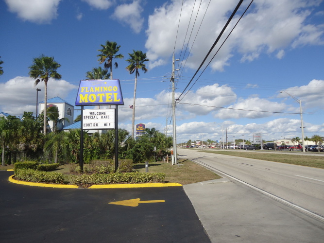 Flamingo Motel photo 13