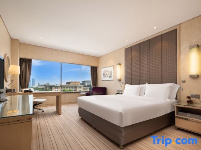 Standard Double room with city view