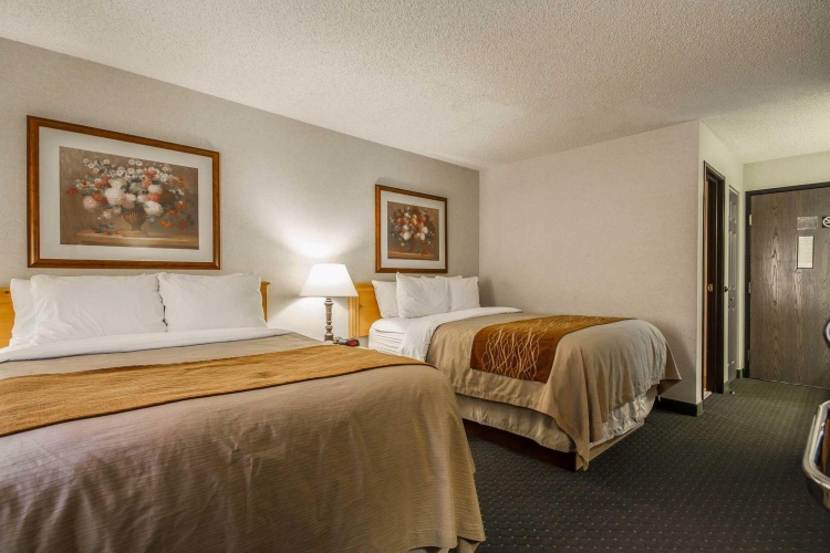 Standard Quadruple room