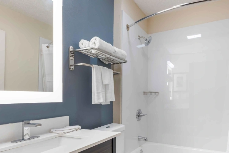 1 Bedroom Suite