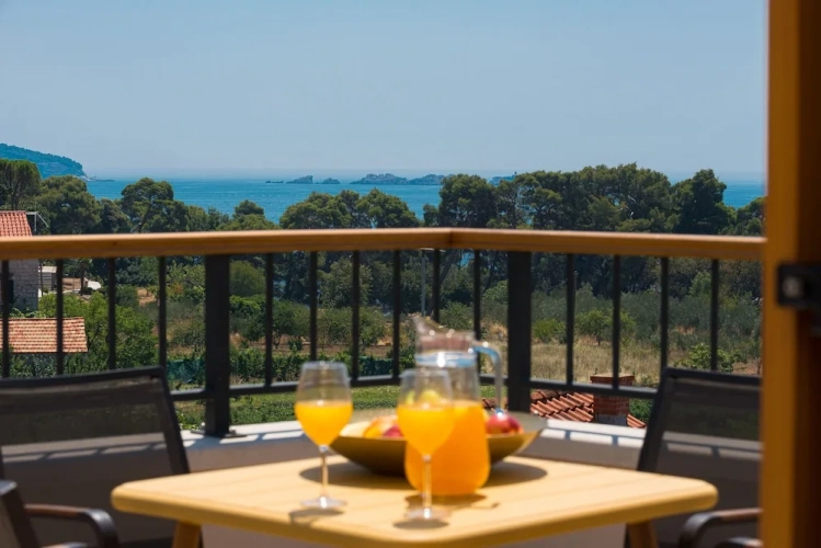 1 Bedroom Premium Apartment with balcony and with sea view