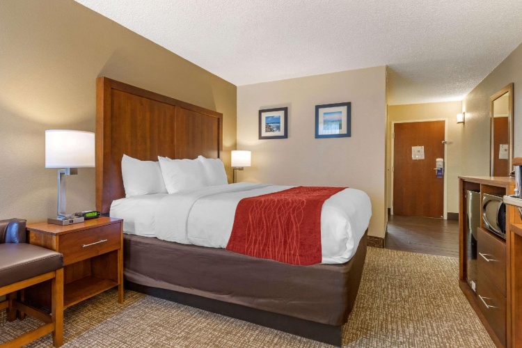 Standard Double room