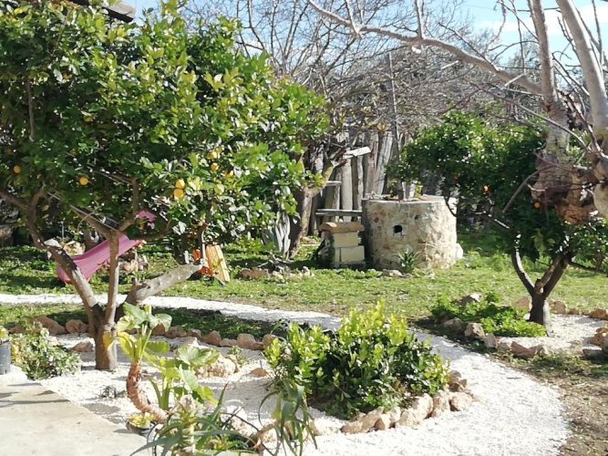Standard Double room with garden view