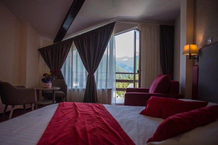 Standard Double room with mountain view