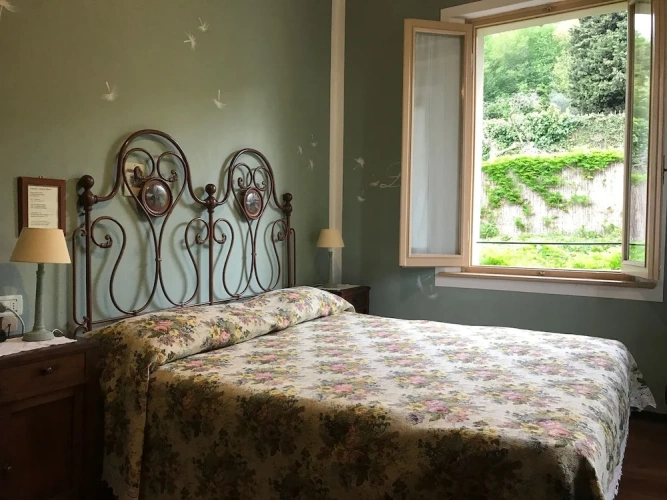Standard Double room with lake view