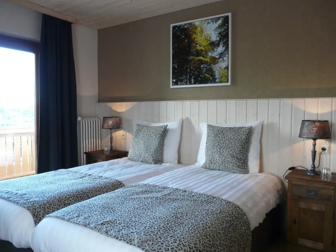 Comfort Double room with balcony and with land view