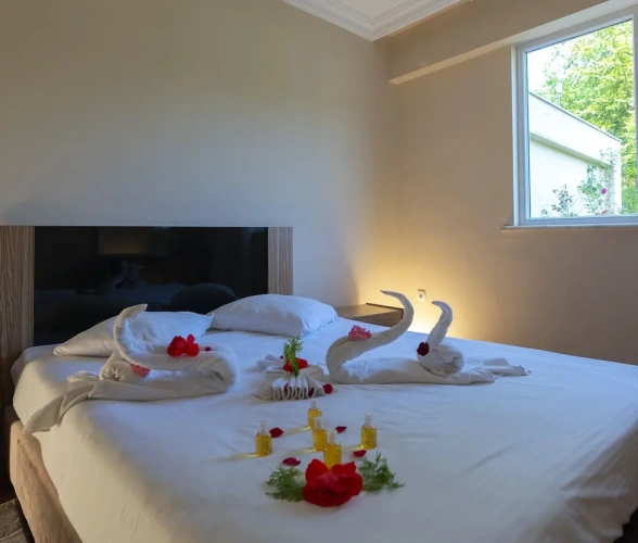 1 Bedroom Suite