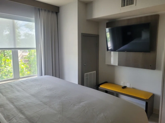 1 Bedroom Suite