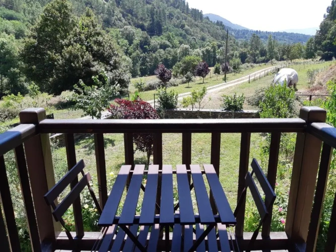 Standard Twin room with garden view