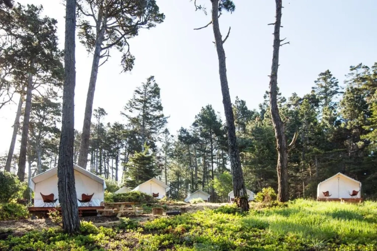Tent