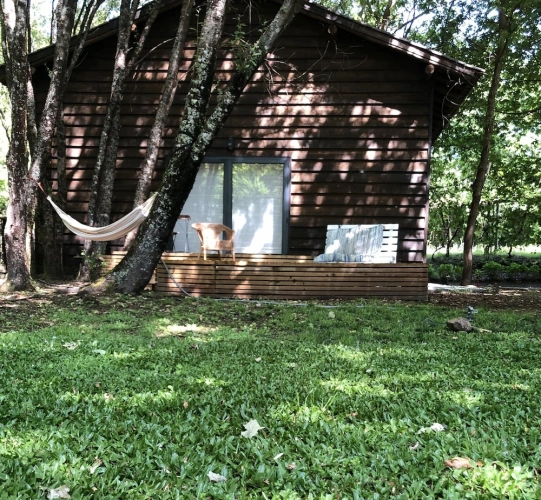 2 Bedrooms Cottage with garden view
