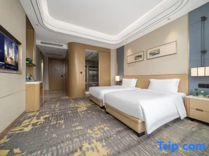 Executive Twin room