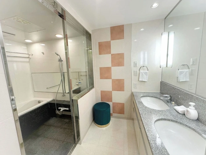 Luxury Apartment