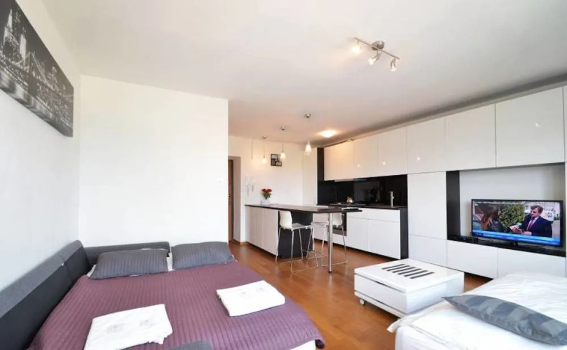 Apartament Dream Loft Vistula