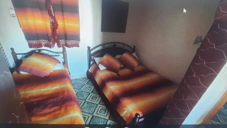 aline hostel