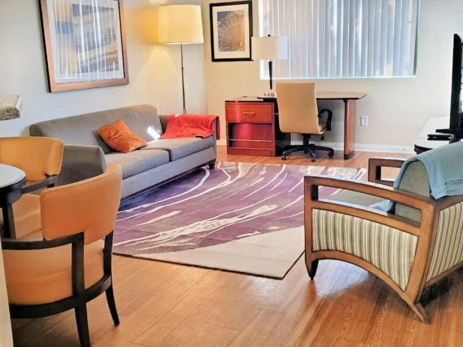 1 Bedroom Apartment