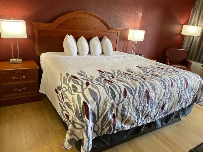 Superior Double room