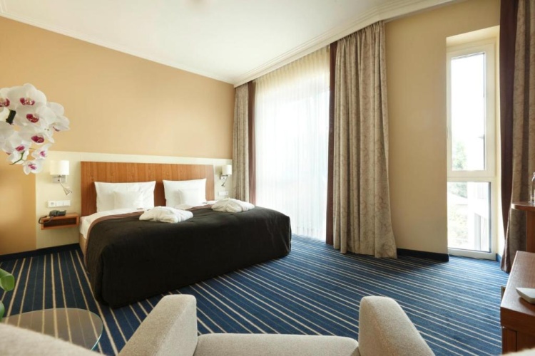 Superior Double room with balcony and with view