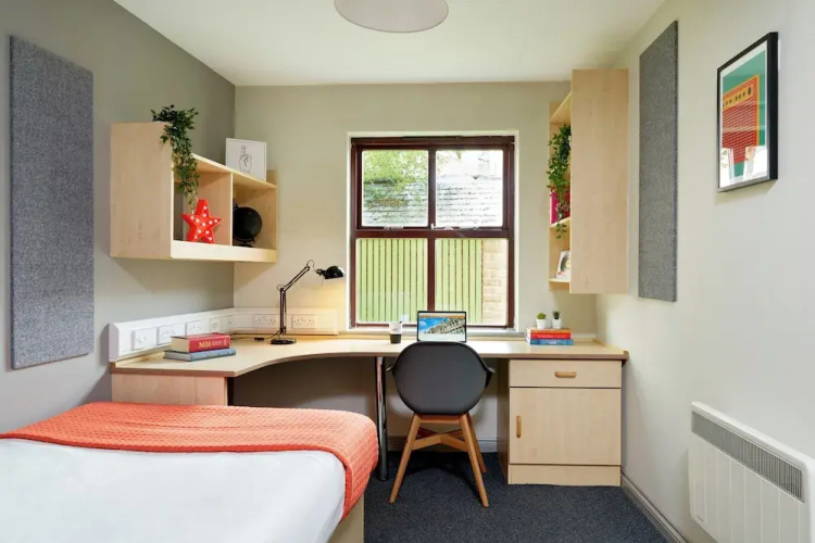 Student Only Snow Island