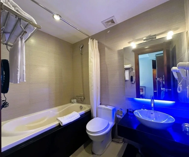 1 Bedroom Deluxe Double room with city view