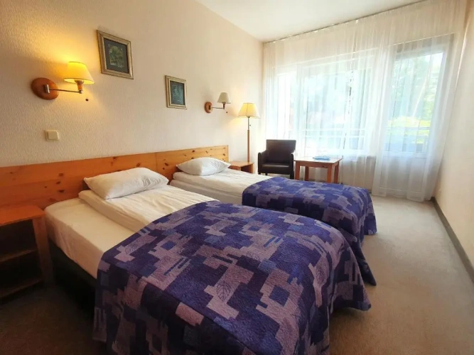 Standard Double room with balcony