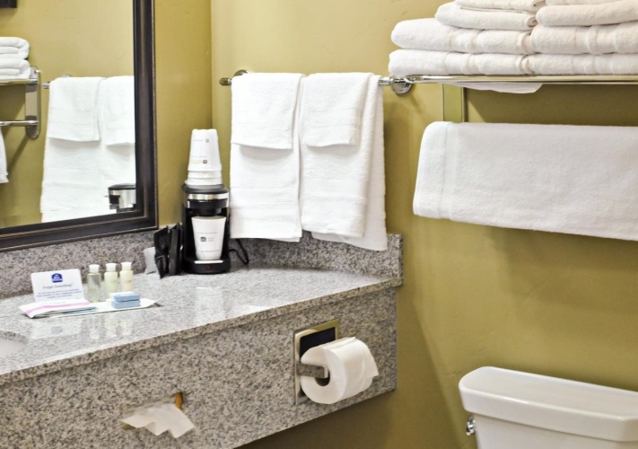 Best Western Plus Layton Park Hotel photo 10