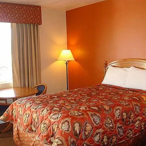 Starlite Motel Many