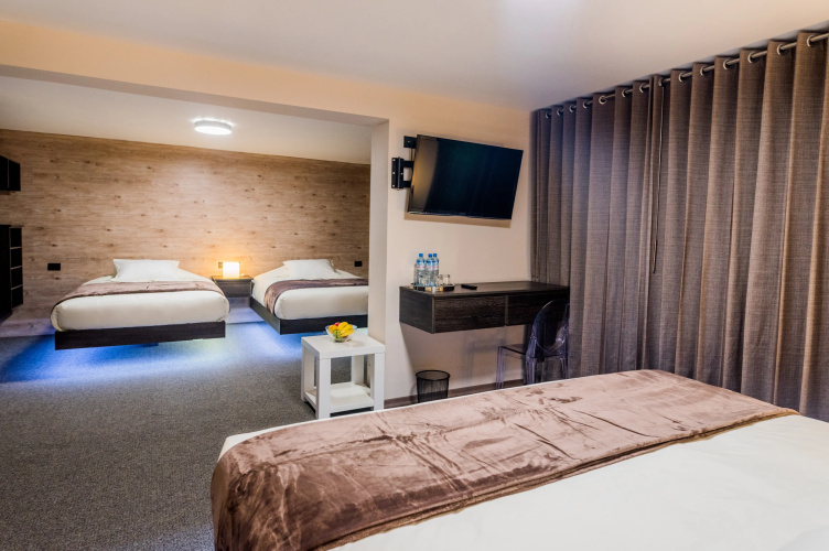 Hotel Viza