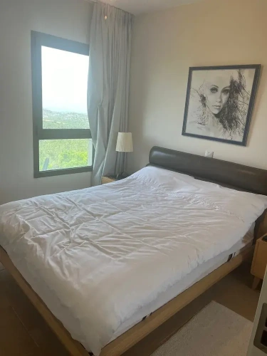 1 Bedroom Apartment with balcony and with mountain view