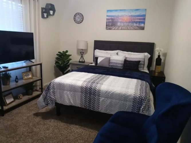 Standard Single room with garden view