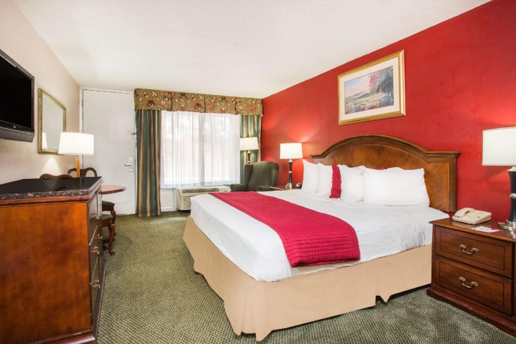 1 Bedroom Double Suite