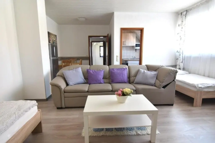 Duplex Apartment