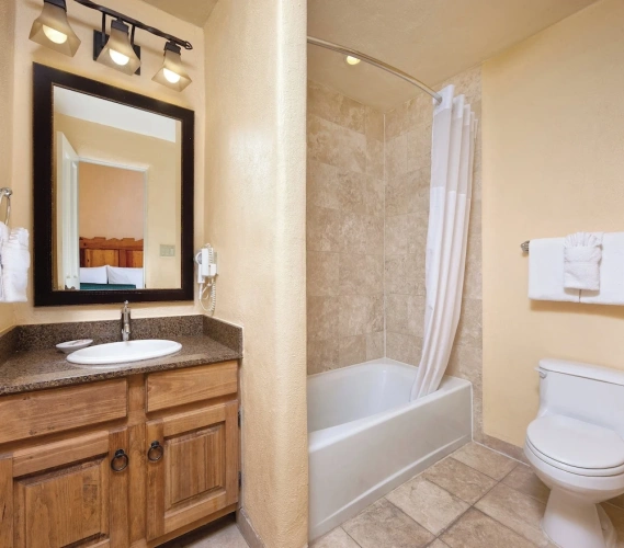 1 Bedroom Studio