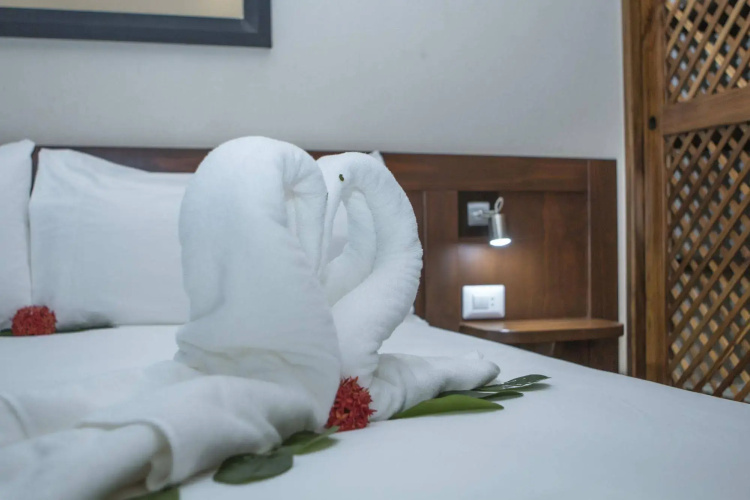 Hotel Palma de Oro