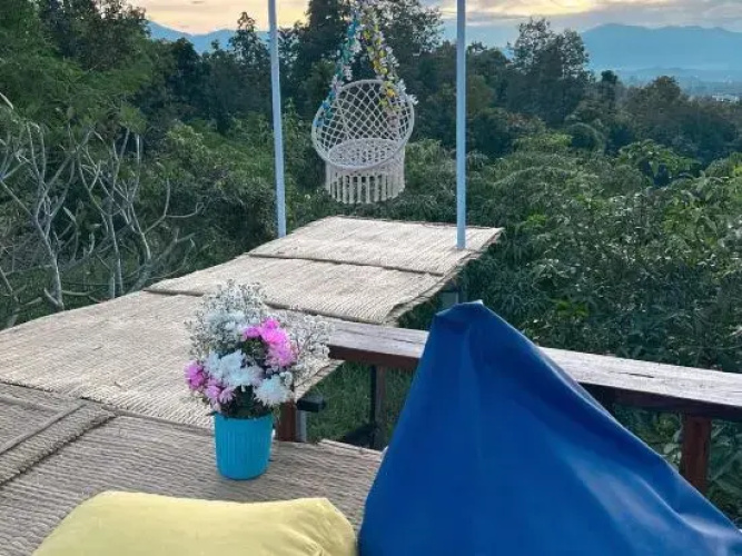 Pets Get Sleep Homestay