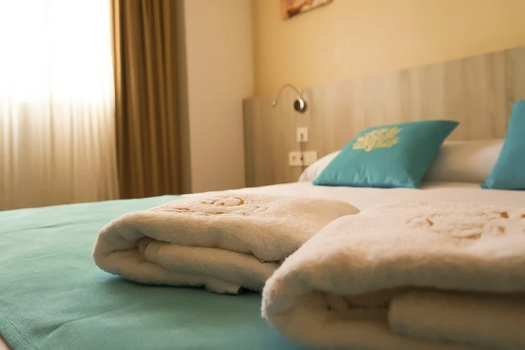 Standard Double room with balcony and with sea view