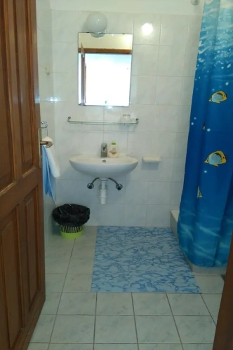 Standard Double room with balcony and with sea view